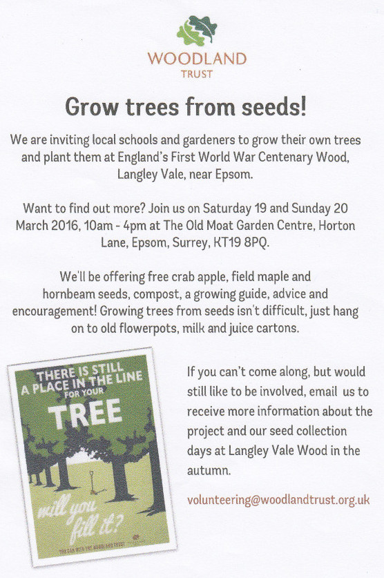 Woodland Trust Flyer for Trees from Seeds